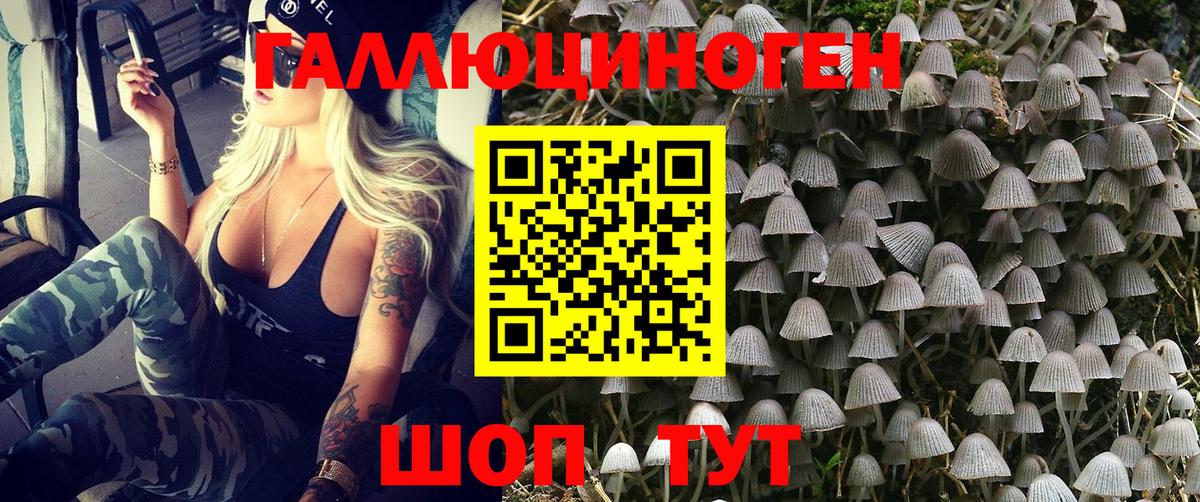 Псилоцибиновые грибы GOLDEN TEACHER Заволжье