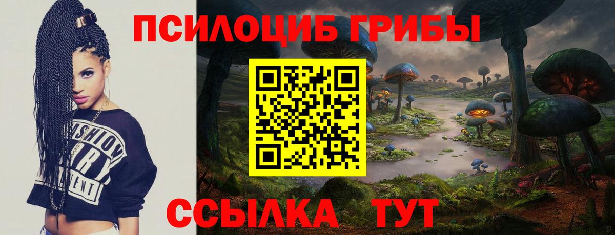 Псилоцибиновые грибы Psilocybe  Вход с VPN  Заволжье  Галлюциногенные грибы мухоморы 